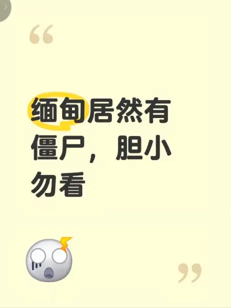 《缅甸僵尸出土事件》高清视频完整版在线观看 - 现场全程录像揭秘缅北真相 - 无删减免费播放全集