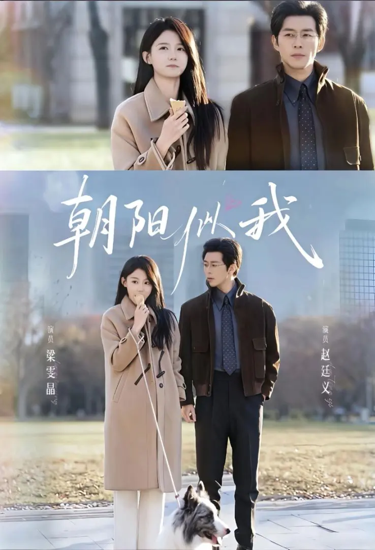 《朝阳似我》全81集完整版 - 高清无删减短剧免费播 - 百度网盘资源极速下载