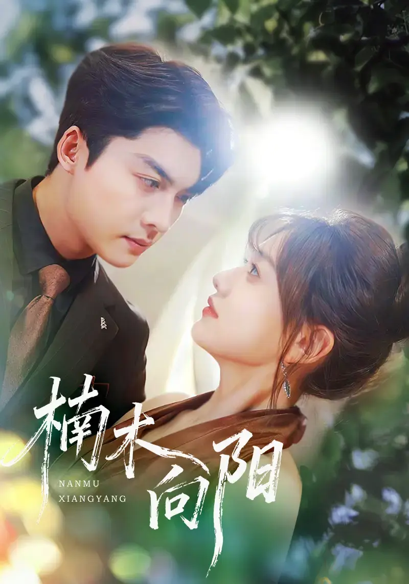 《楠木向阳》全70集无删减版 - 1080P高清短剧在线看 - 免费资源分享下载