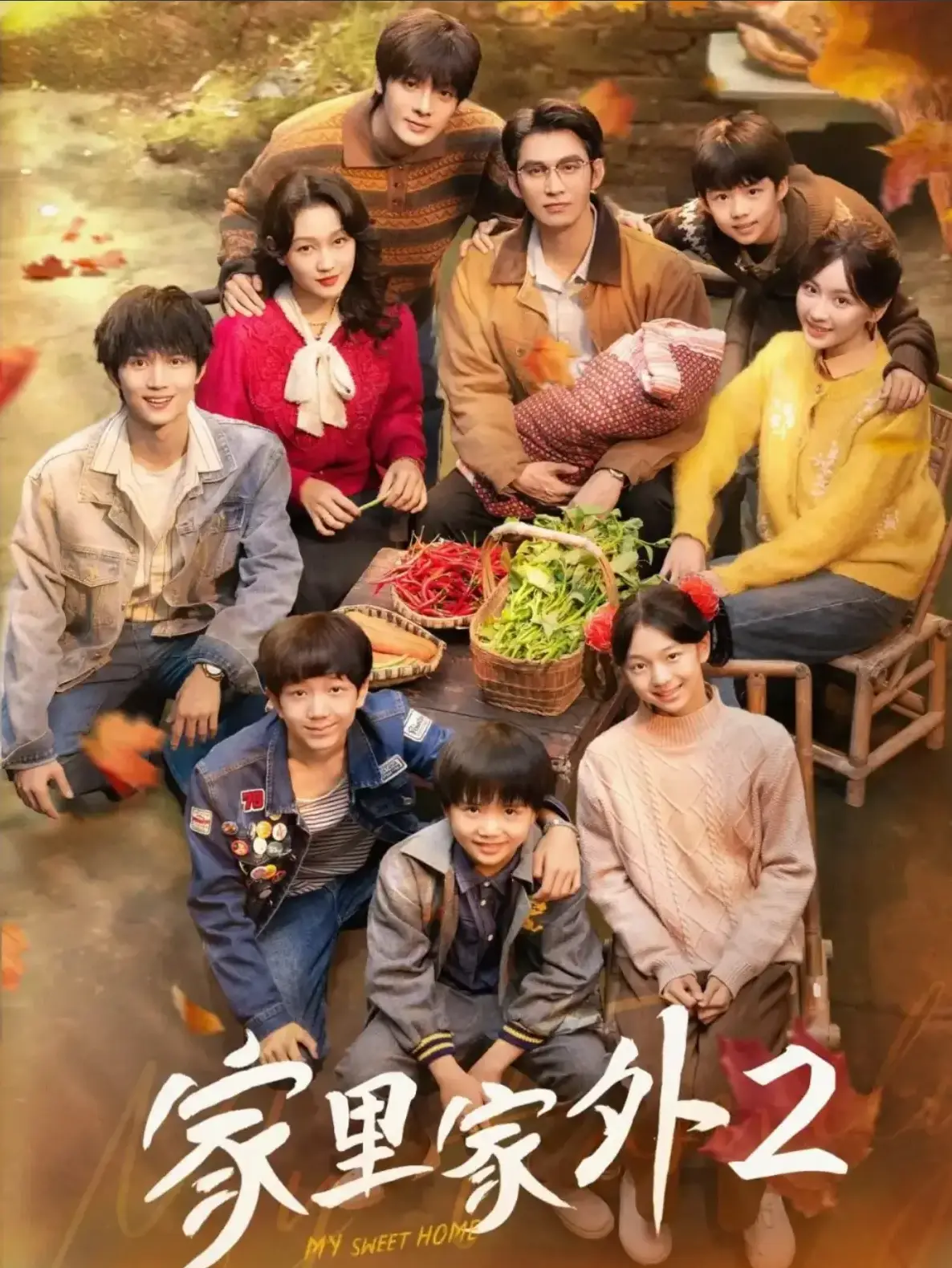 《家里家外2》全剧集在线看 - 国产短剧手机免费播放 - 完整版高清资源