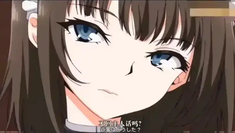 《女仆的教育》第一季全集在线看-女仆的教育无广告高清免费观看【1-12集】-无删减萌系ACG动画-1080P完整版资源