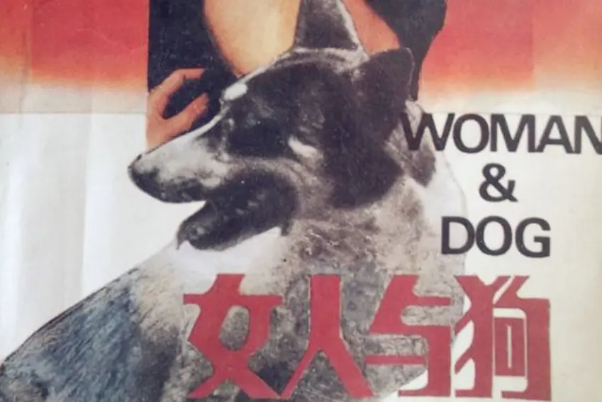 《女人与狗》俄罗斯电影全集免费看-无广告HD高清在线播放-《女人与狗》完整版无删减大结局