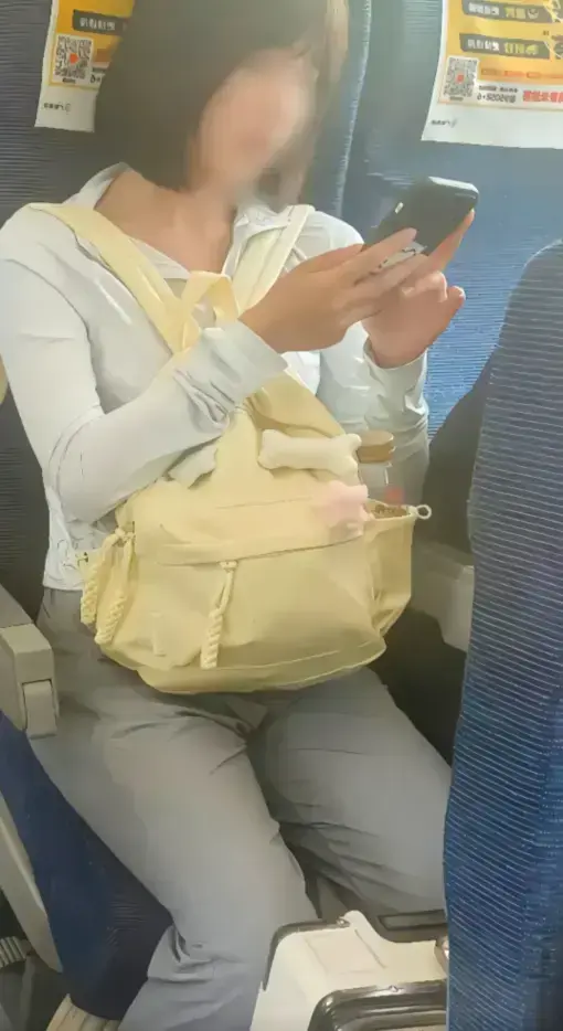 高铁短发女孩原视频完整版下载-高铁上的妹子60秒视频在线看-高铁妹子梗来龙去脉解析-夸克/迅雷网盘资源持续更新中