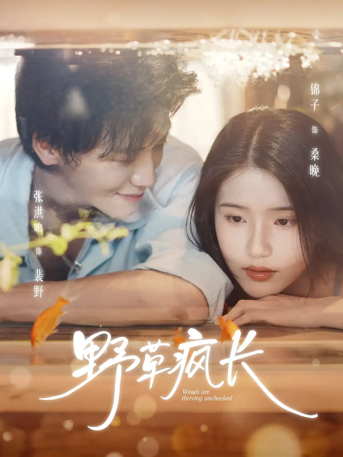 《野草疯长》全71集未删减版 - 1080P HD高清流畅播放 - 免费观看资源分享下载