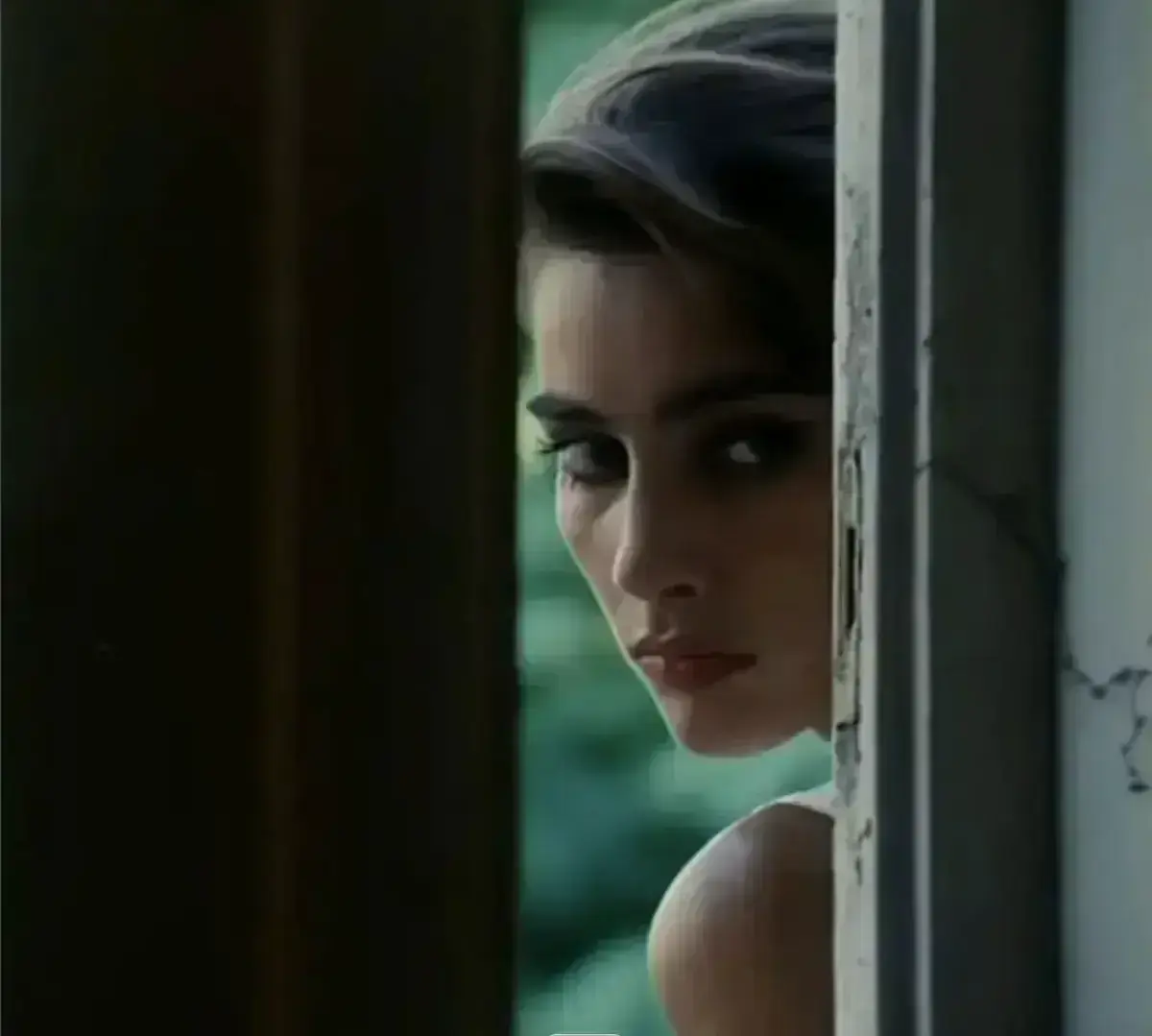 《激情丛林》高清全集在线看 - 意大利冒险电影完整版 - 网盘资源免费下载