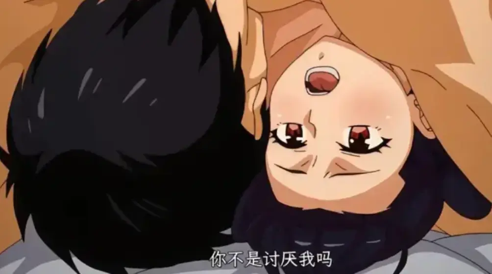 虽然不是自己的菜与讨厌姐姐的超契合1-12集完整版-樱花动漫HD高清播放-网盘资源一键保存