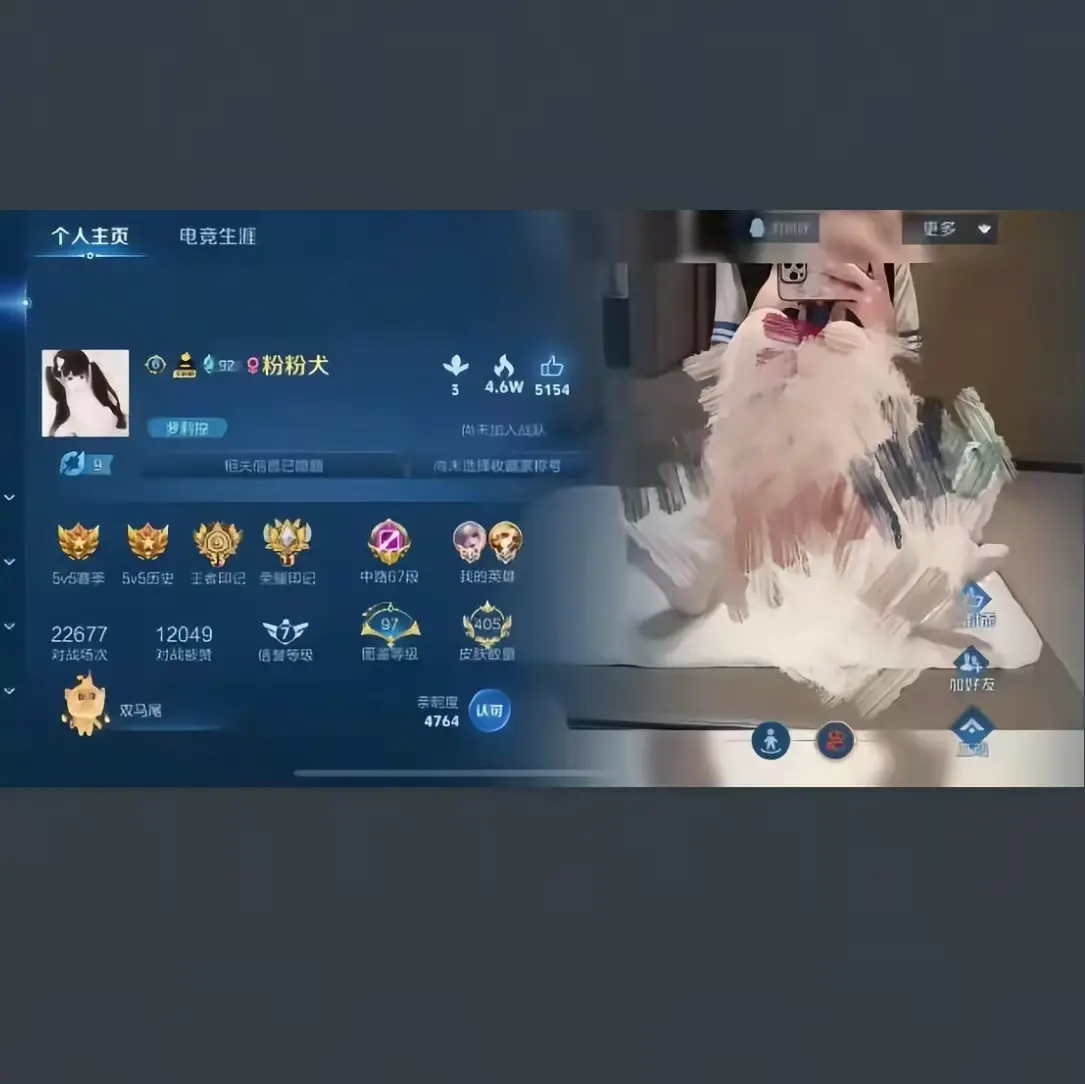 王者荣耀粉粉犬主页视频 - 国标皮肤技巧全解析 - 高清无删减完整版 - 免费流畅播放