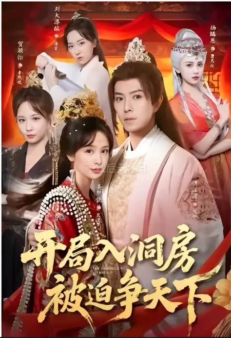 《开局入洞房，被迫争天下》短剧免费看 - 全集高清未删减 - 在线观看无广告