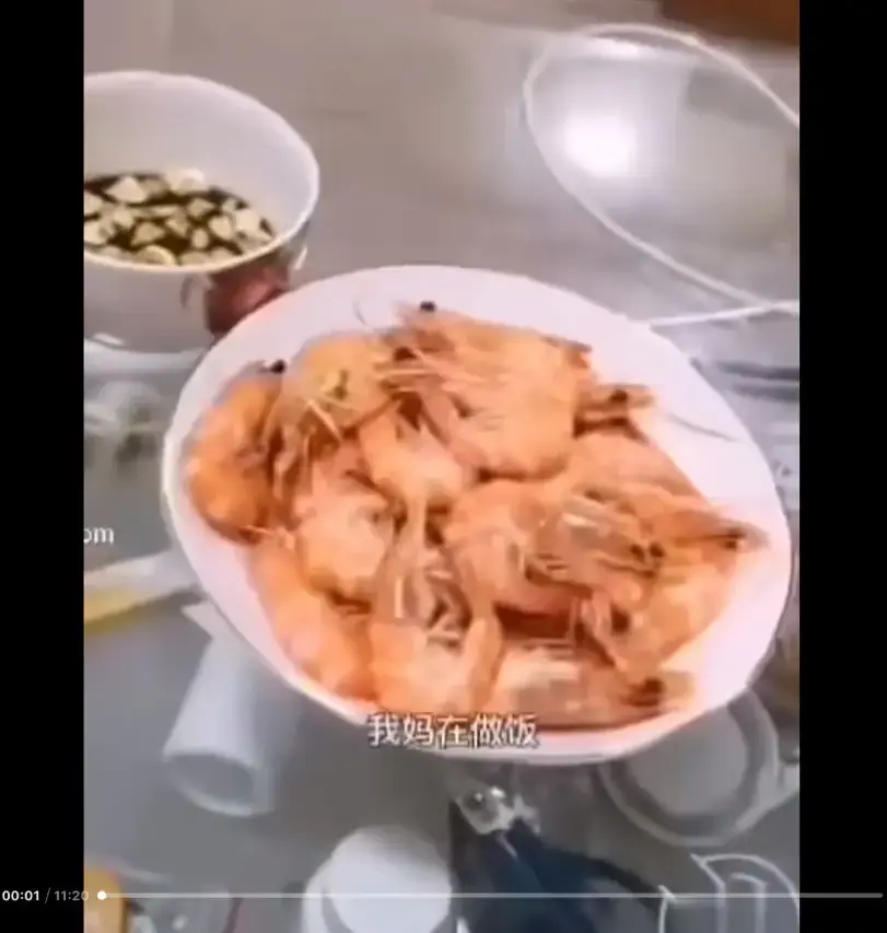 《大虾母子厨房完整版》高清视频在线看-免费网盘资源下载-猎奇视频梗揭秘