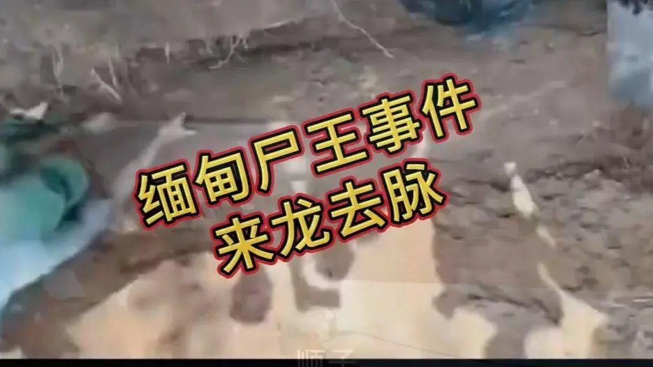 《缅甸僵尸出土事件视频》完整版资源在线观看免费播放 - 缅北僵尸出土事件始末原视频高清下载超清未删减
